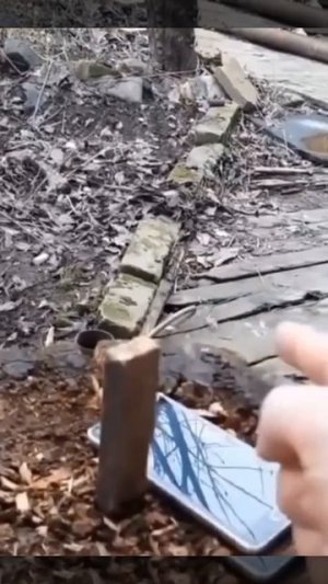 ТАКОЙ ТОЧНО НАУЧИТ....