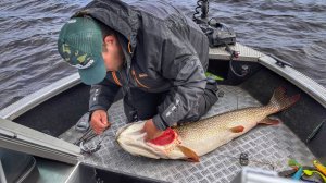 Рыбалка в Сургуте. Приехал ловить огромных щук в ХМАО! Рыбалка на реке ОБЬ с гидом. Часть 2