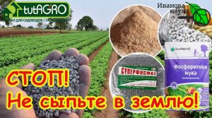 ВАМ 100 ЛЕТ НЕ НУЖНЫ ЭТИ УДОБРЕНИЯ! Не тратьте деньги и не сыпьте эти удобрения, сперва разберитесь.
