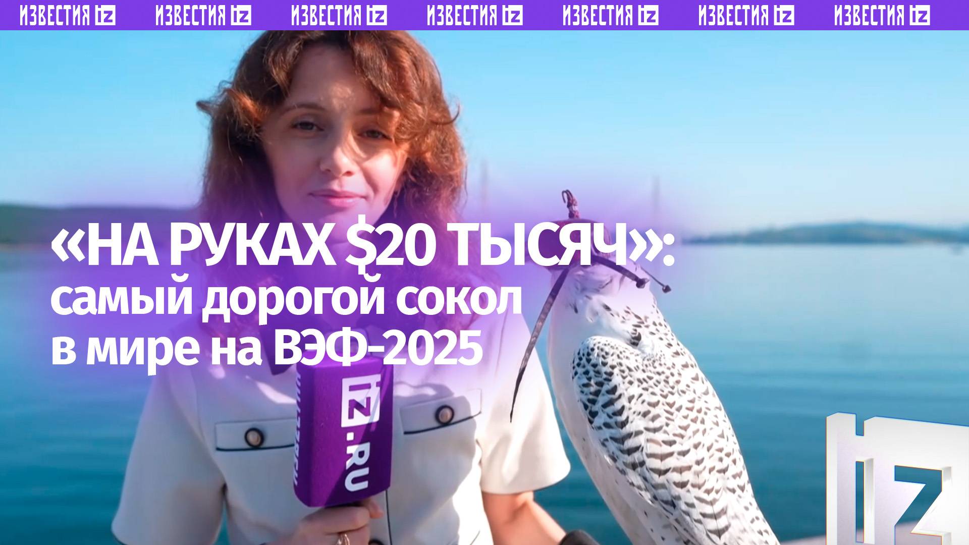 Птица за $250 000: самого дорогого сокола в мире показали на ВЭФ-2025
