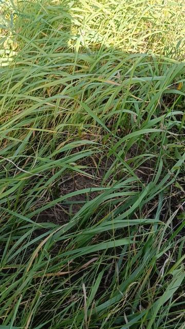 наш век очень короток