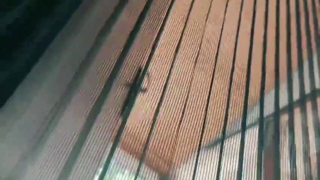 Москитная сетка плиссе на дверь: Насекомые останутся за бортом вашей дачи