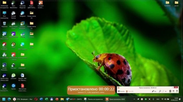 Icecream Screen Recorder PRO