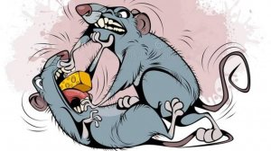 СНИМИ КРАДНИК СУДЬБЫ, КРАДНИК ЖИЗНИ, КРАСОТЫ. ВОЗВРАТ ВСЕХ ЖИЗНЕННЫХ РЕСУРСОВ. ОБРАТКА!