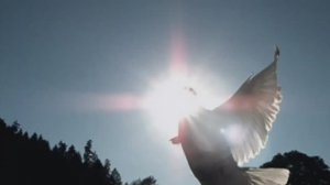 Томазо Альбинони - Адажио - Albinoni's Adagio (Ремо Джадзотто)