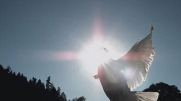 Томазо Альбинони - Адажио - Albinoni's Adagio (Ремо Джадзотто)