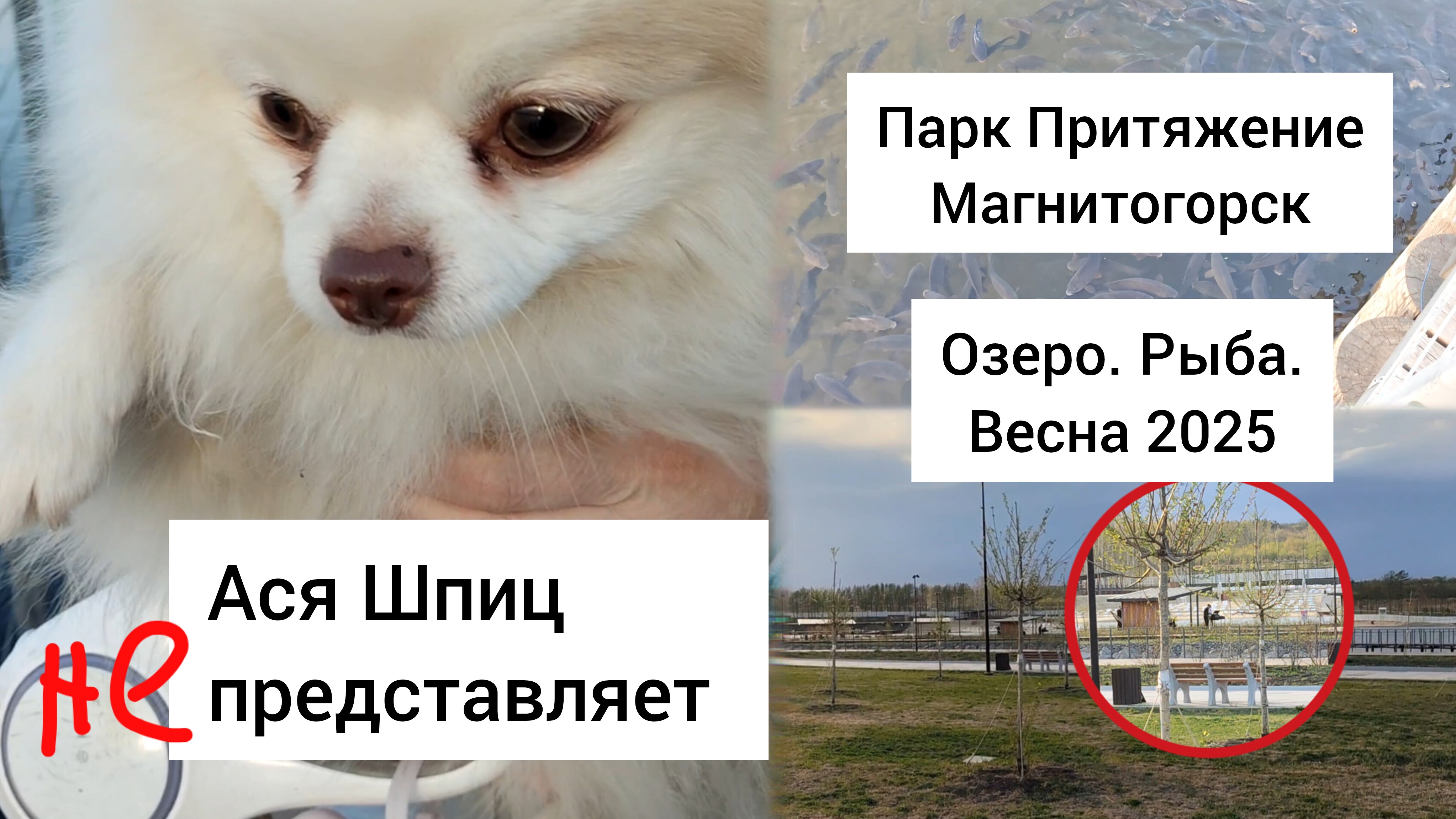 Парк Притяжение Магнитогорск. Озеро и набережная смотреть онлайн