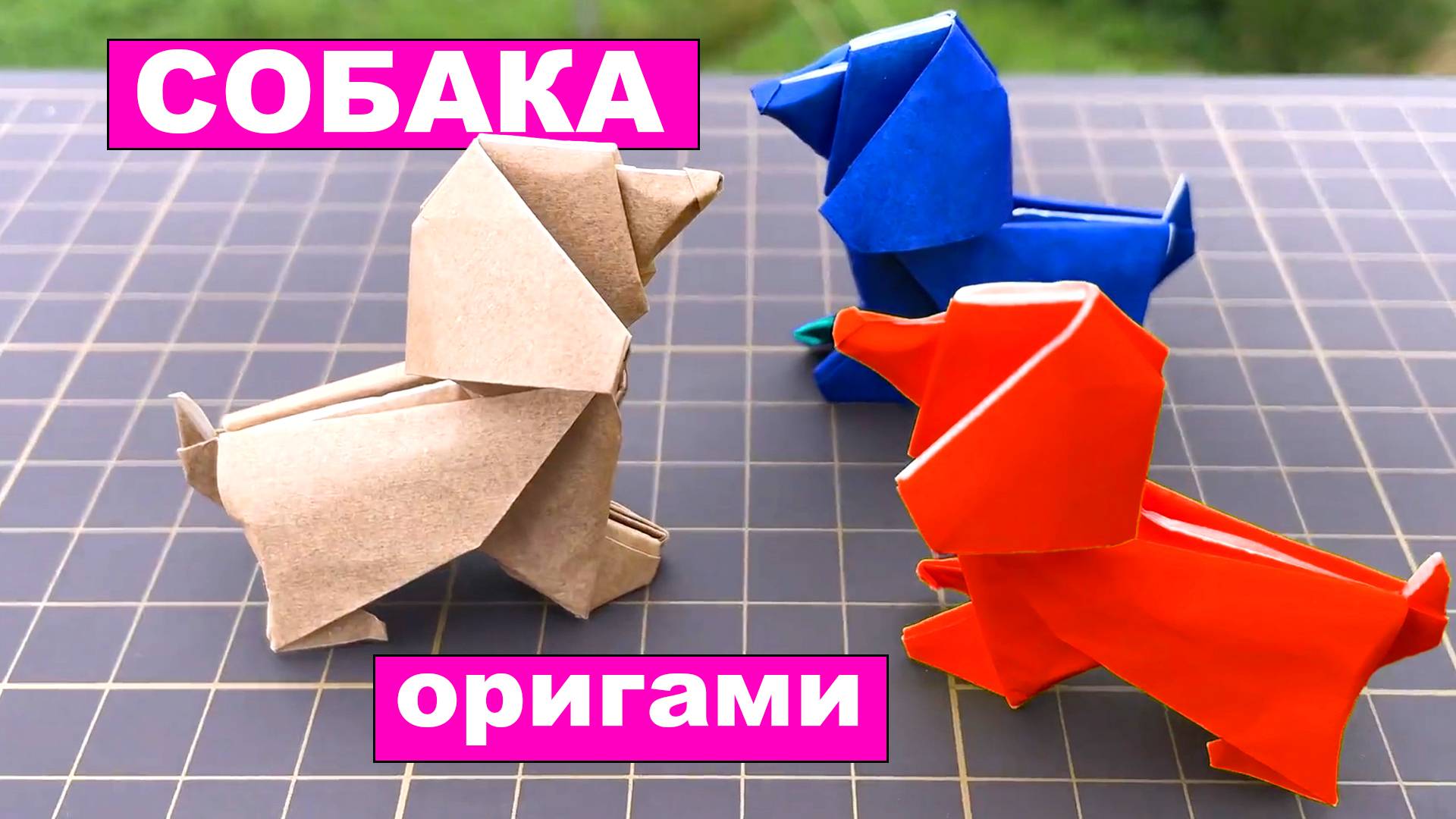 Оригами Собачка из бумаги. Как сделать оригами собаку из бумаги смотреть онлайн