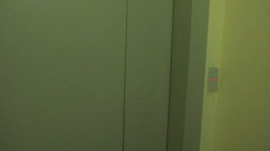 Грузопассажирский, пассажирские лифты (Деревня Щемилово), V=1 м-с, г-п 400, 1000 кг (3)