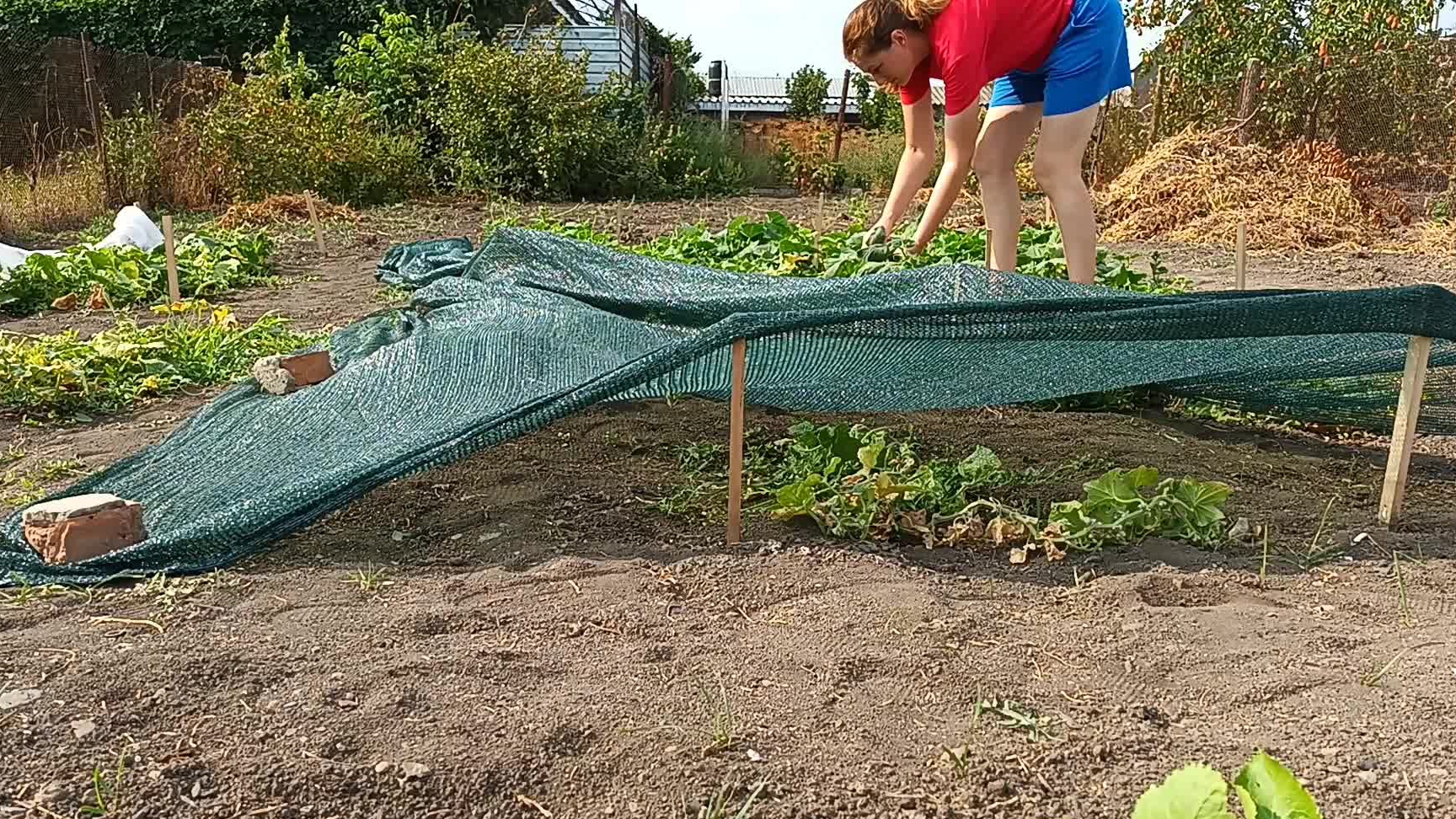 ЖИЗНЬ В СТАНИЦЕ./КУПИЛИ ДОМ НА ЮГЕ./ДОМ МЕЧТЫ./ Много дел. смотреть онлайн