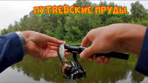 Рыбалка в Москве. Путяевские пруды.