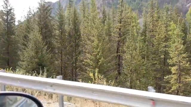 Отдых,Горный Алтай,снежники❄️❄️❄️ смотреть онлайн