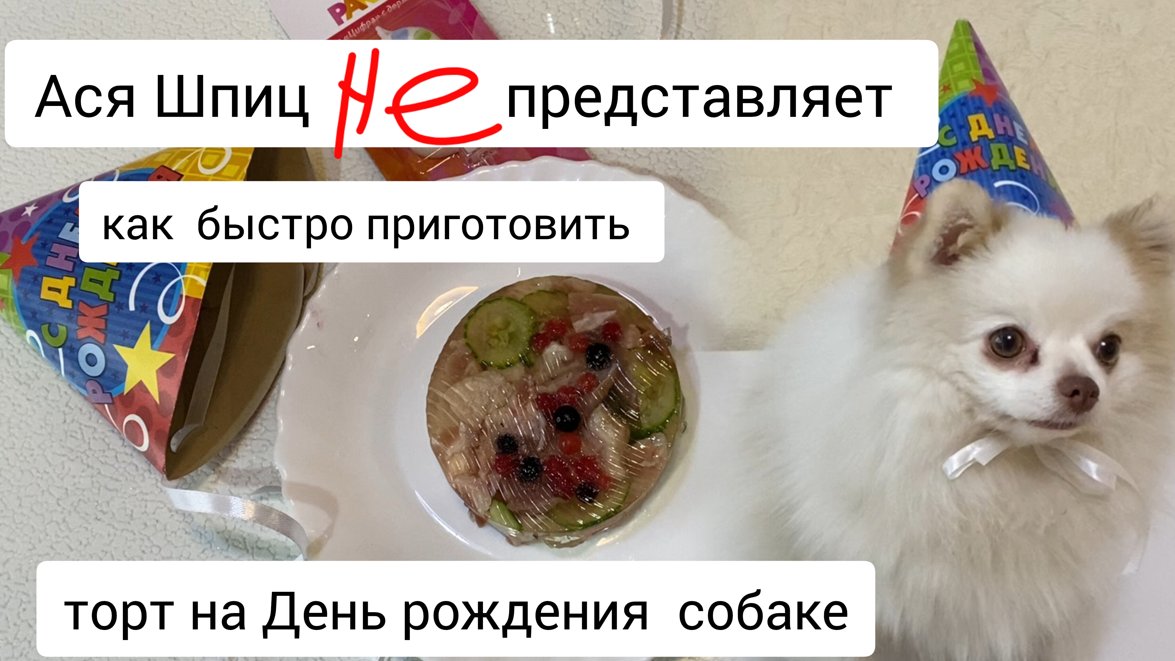 Как приготовить вкусный торт на день рождения собаке смотреть онлайн