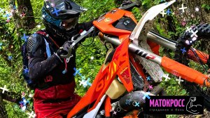 РОМА С БОГДАНОМ В ЛОГОВЕ ДРАКОНА