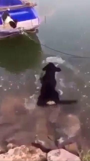 Мама и сынок смотреть онлайн