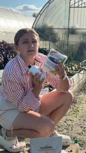 ГОТОВИМ УДОБРЕНИЯ К ПЕРВЫМ ЗАМОРОЗКАМ