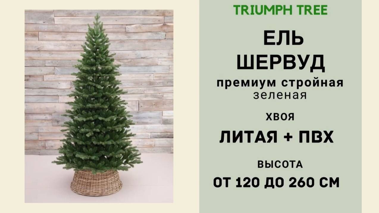Triumph Tree - ОБЗОР искусственной ели Шервуд премиум стройная зеленая смотреть онлайн