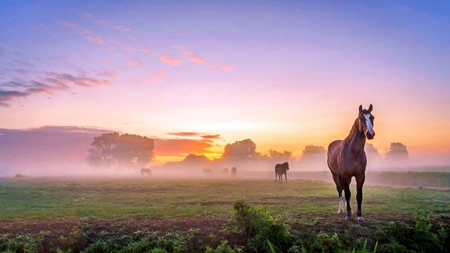 ОЙ ТО НЕ ВЕЧЕР… ХОР ВАЛААМСКОГО МОНАСТЫРЯ смотреть онлайн