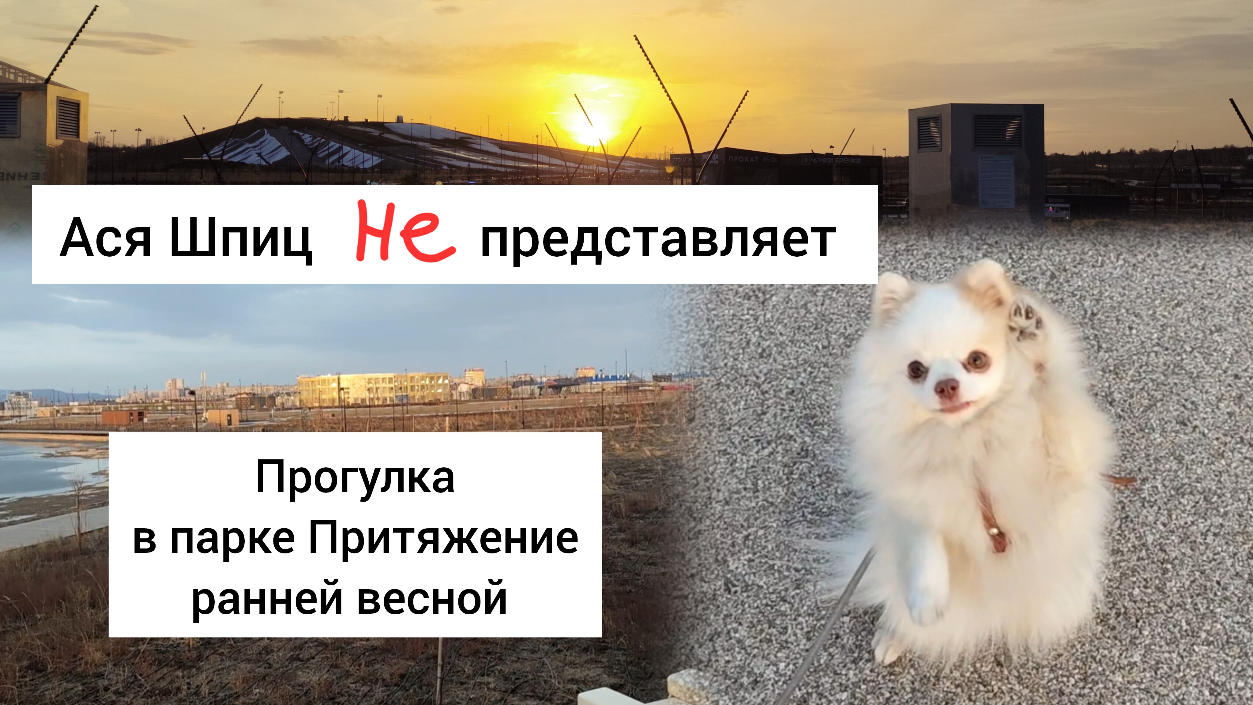 Прогулка с собакой в парке Притяжение ранней весной смотреть онлайн