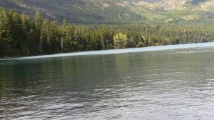 В изоляции 8 сезон 3 серия «Разжёванные» (документальный сериал, 2021)