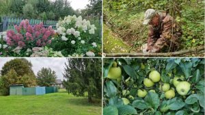 ЕДЕМ ЗА ГРИБАМИ, ПОШЛИ ОПЯТА. НАША ПОДПИСЧИЦА ПРОСИЛА ПОКАЗАТЬ ДОМ СВОЕЙ БАБУШКИ.