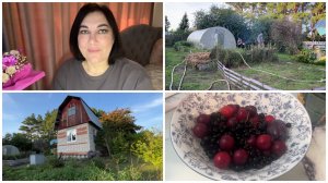 🏡КУПИЛИ ДАЧУ, ЕЁ ЦЕНА/Первые впечатления от участка❤️ВАШИ КОММЕНТАРИИ/ Нужны советы!/🙈 ПРОПОЛКА🍓