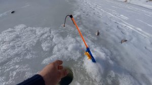 ЭТА СНАСТЬ РЕАЛЬНО ЛОВИТ ЗИМОЙ. РЫБАЛКА НА КОСЫНКИ. ВЕСНА.