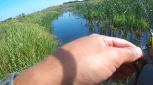 Рыбалка на щуку в разных условиях. Блесна и Малас в деле