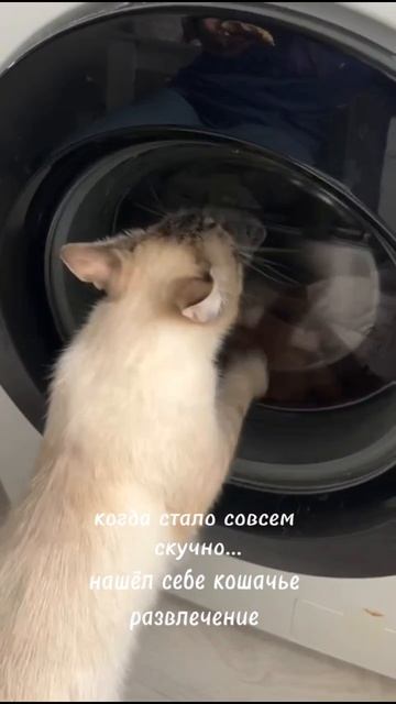 Развлечение по душе😃