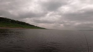 Выезд на рыбалку по хищнику.