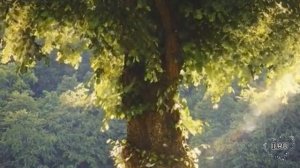 Истории из жизни людей слушать онлайн бесплатно.  обещание...