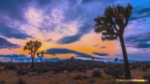 #Коран#АльАраф#СамыеКрасивыеМеста#Relaxation##Islam#Quran#AlAraf#Minshawiy #4кВидео#22часть#