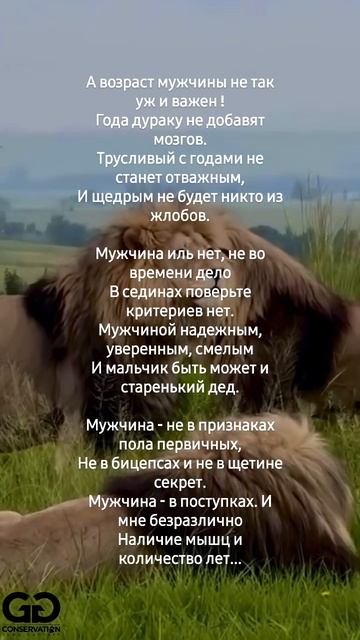 Правда смотреть онлайн