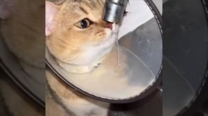 Запасаемся водически