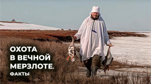 Охота в условиях вечной мерзлоты: что нужно знать  | Факты