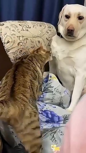 Улыбнитесь🤣