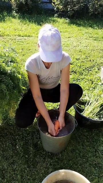 Морковь радует 31.08.2025 смотреть онлайн