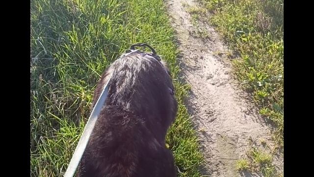 Ликан 7 месяцев смотреть онлайн