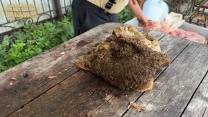 Тест ножей на мясе. Вектор-2 из стали 9ХС . Русский булат