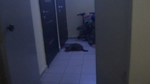 Грузопассажирский, пассажирский лифт (Деревня Щемилово), V=1 м-с, г-п 400, 1000 кг (5)