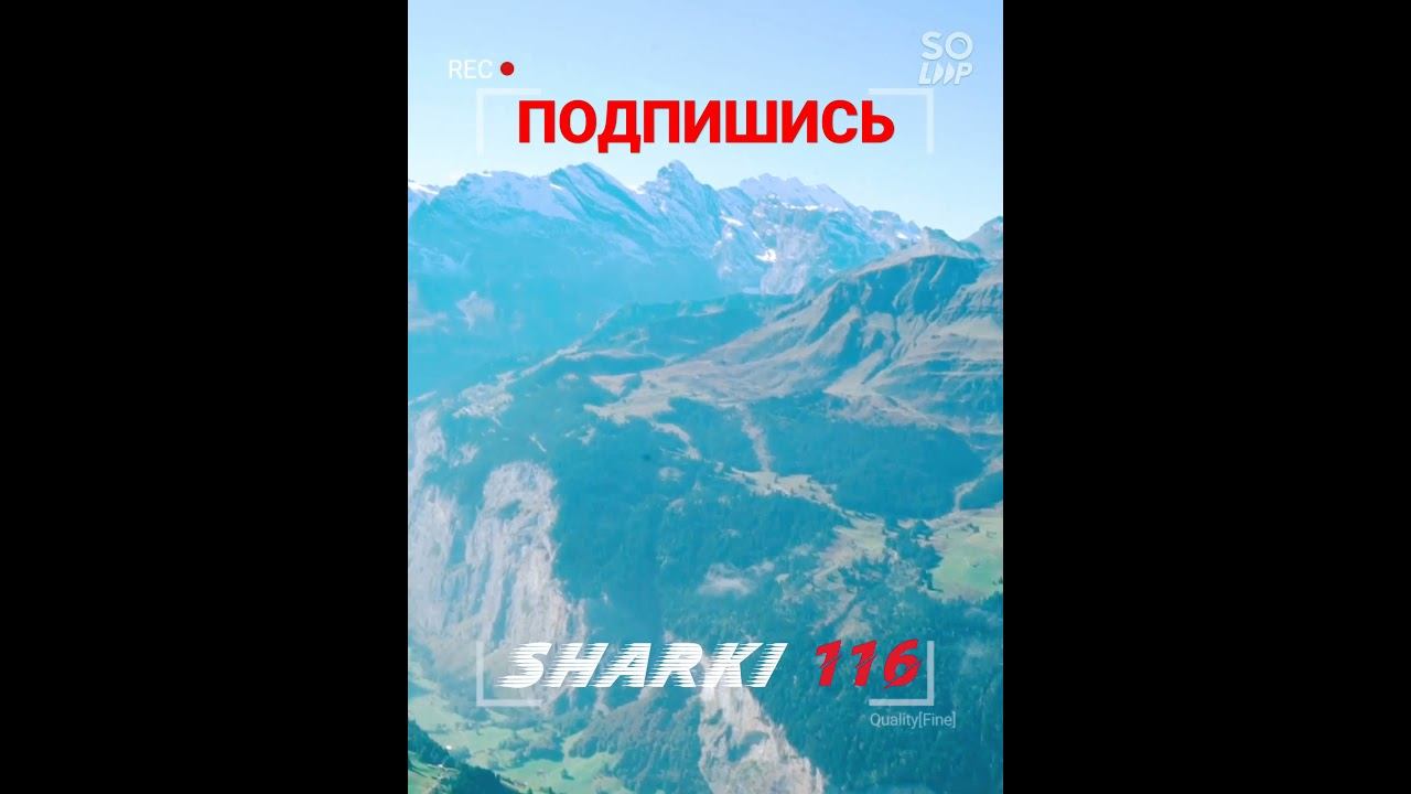 #дальнобойщик #SHARKI116 смотреть онлайн