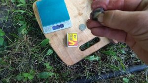 Гф к-ш Спокуса селекции Калугина В. М. очень вкусный и ранний кишмиш.