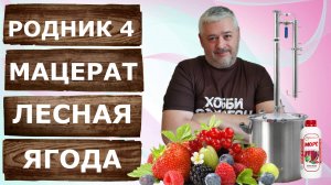 Ароматная водка лесная ягода. Мацерат на самогонном аппарате Родник 4.