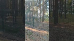 МОИ НОВЫЕ НОВОСТИ