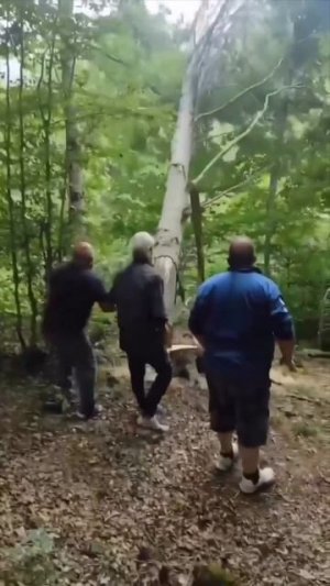 Что-то пошло не так!