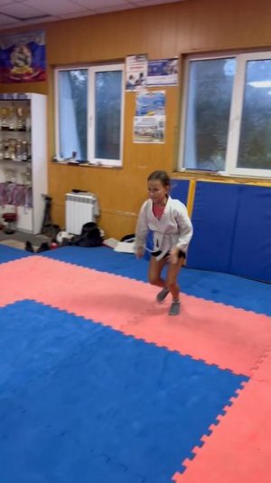 СЭНСЭЙ и телефон!📞