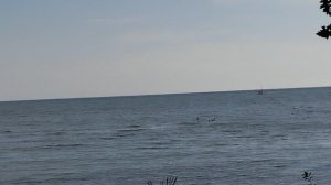 Какая погода в сентябре на побережье Чёрного моря 🐙 в посёлке Новомихайловском.в туапсинском районе