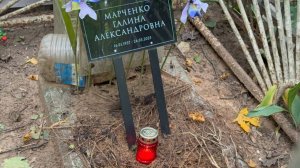 В Долгих поисках... Могилы Легендарной Галины Марченко ( Каркуша )  Ваганьковское кладбище. 03.09.25