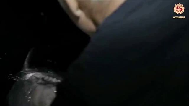 ЗАЧЕМ ПЁТР 1 ЖЕСТОКО ЗАПРЕТИЛ АМАРАНТ - НАСТОЯЩИЙ ХЛЕБ СЛАВЯН смотреть онлайн