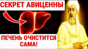 АВИЦЕННА ТЫСЯЧИ ЛЕТ ПРЯТАЛ ЭТУ ТАЙНУ! СОЛЬ ИЗЛЕЧИТ ЖИР ПЕЧЕНИ ✅